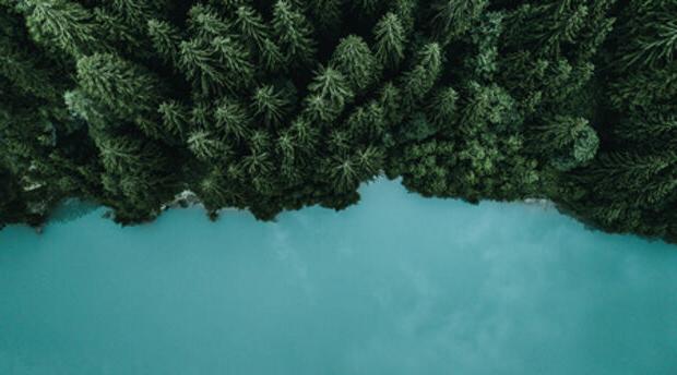 Aerial shot of a forest by a lake
